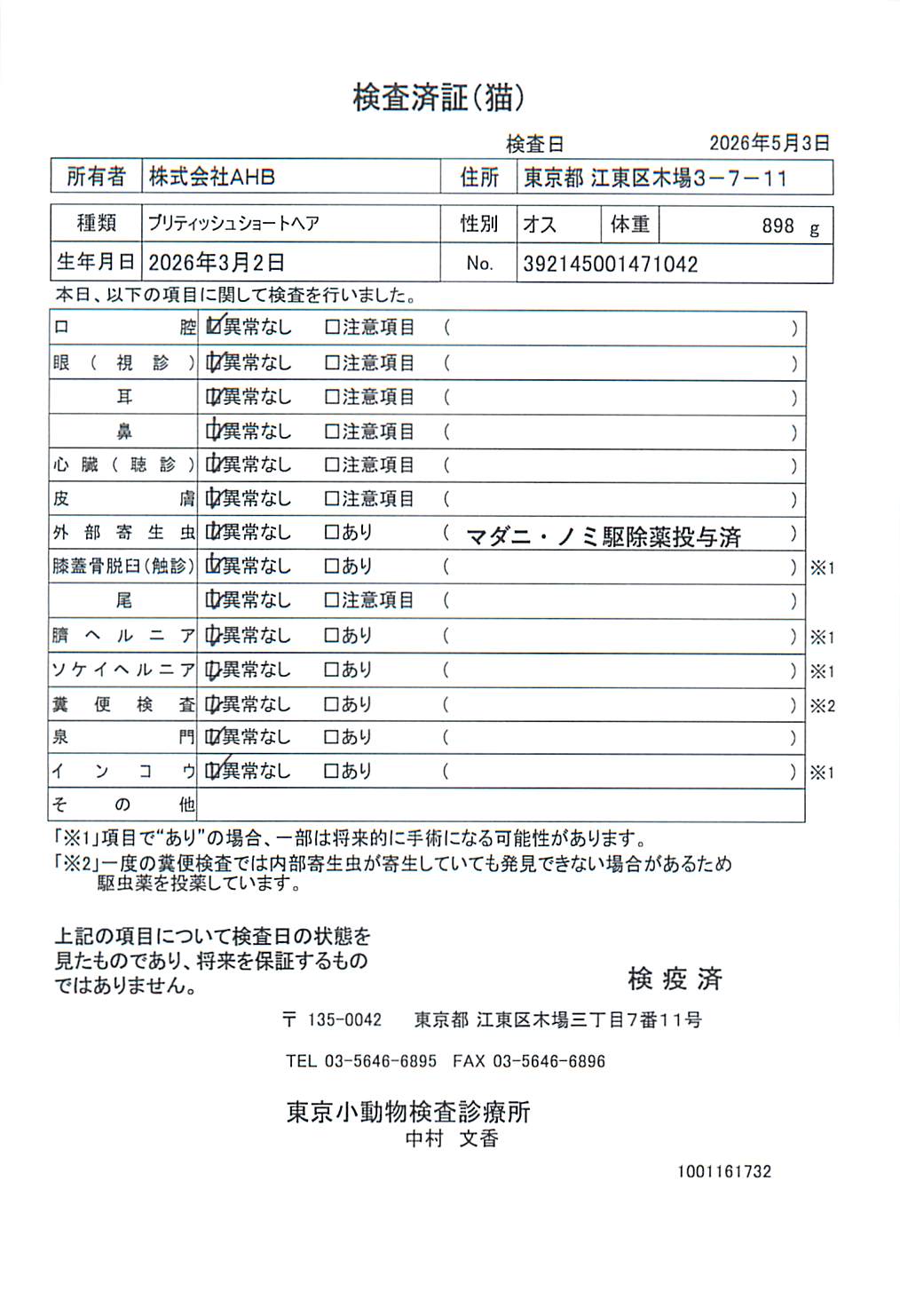 ブリティッシュショートヘア