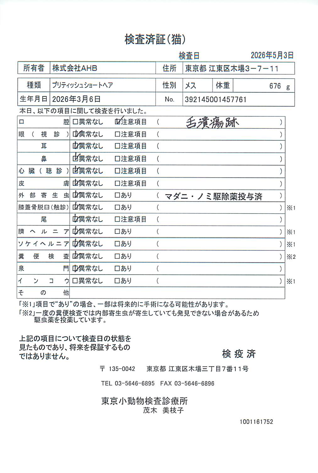 ブリティッシュショートヘア