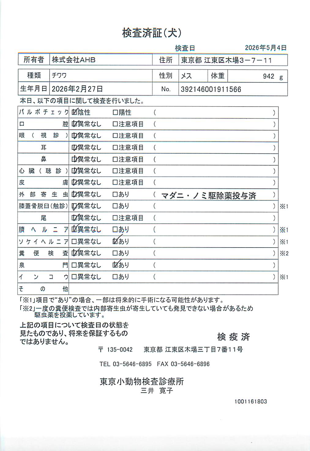 チワワ