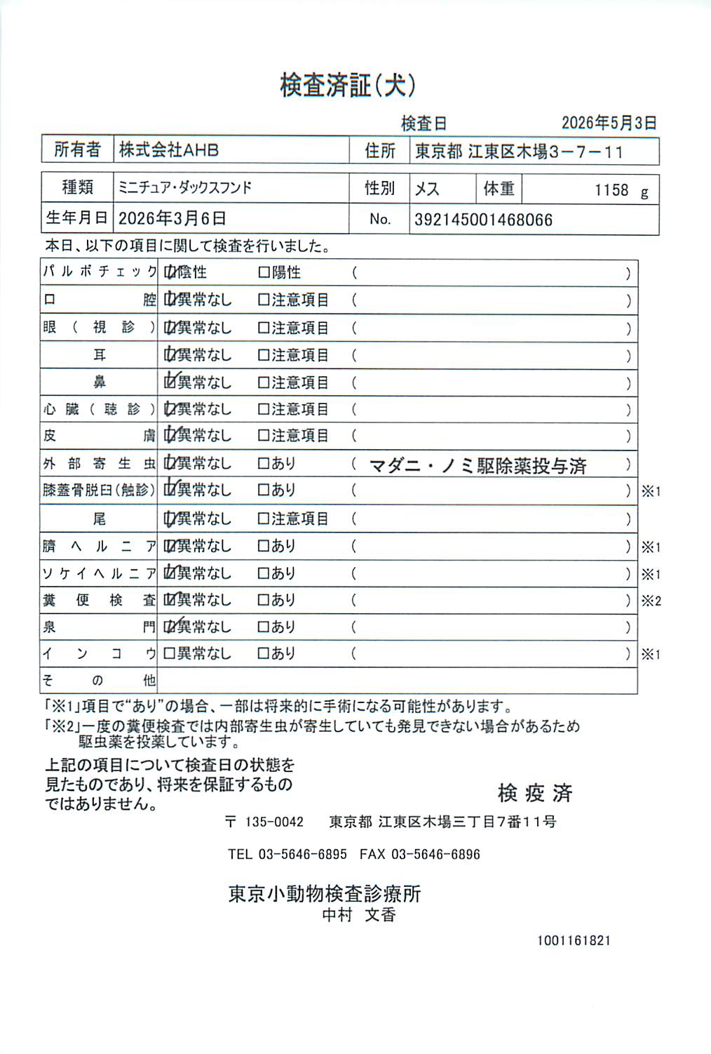 ミニチュア・ダックスフンド