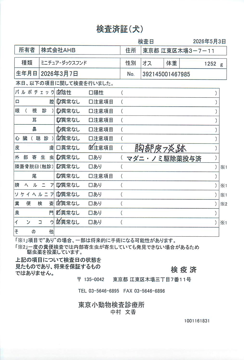 ミニチュア・ダックスフンド