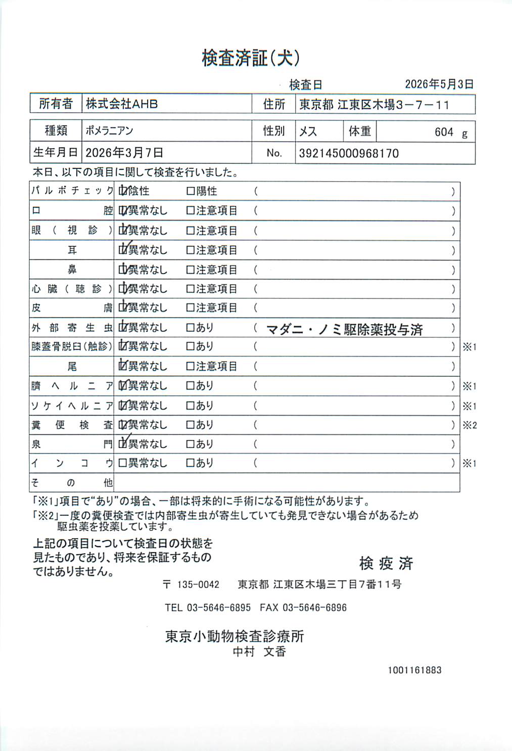ポメラニアン
