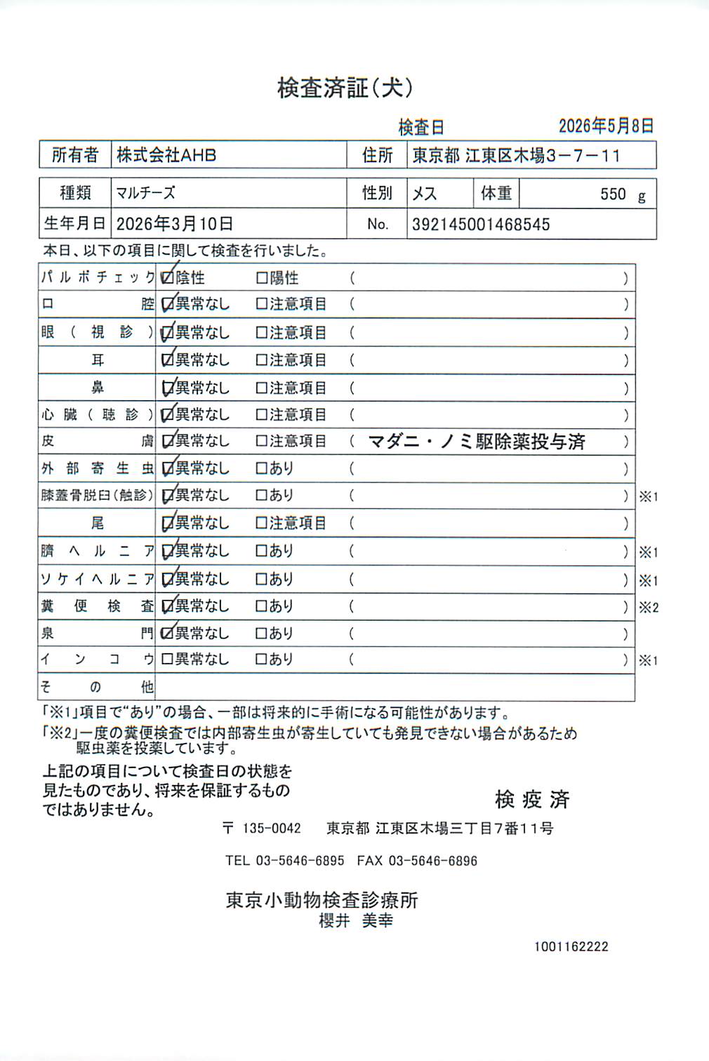 マルチーズ