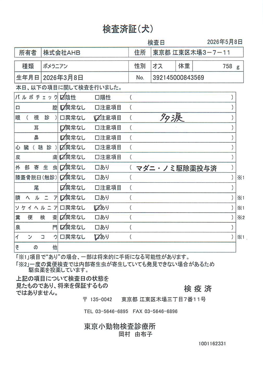 ポメラニアン