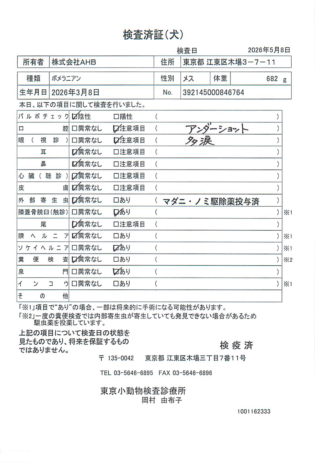 ポメラニアン