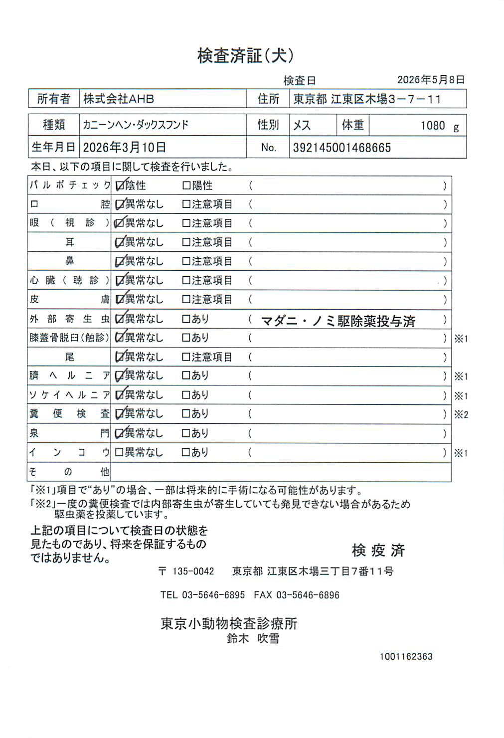 カニーンヘン・ダックスフンド