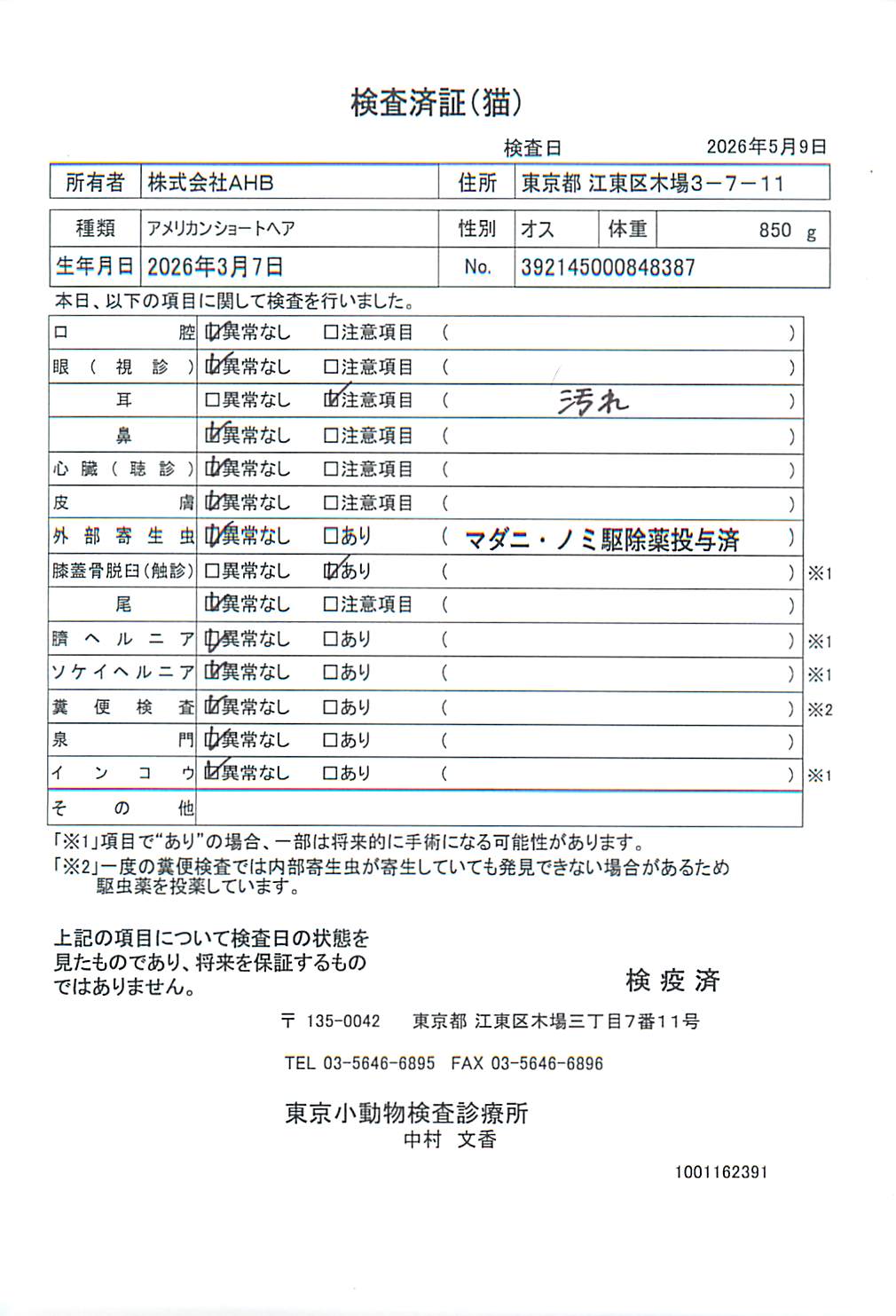 アメリカンショートヘア