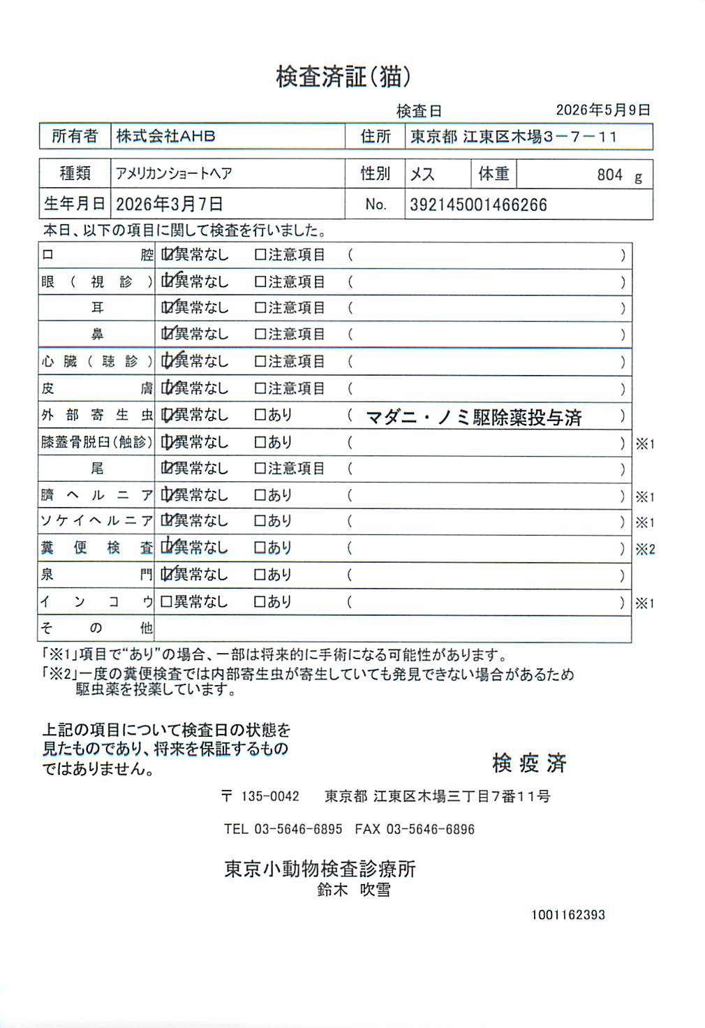 アメリカンショートヘア