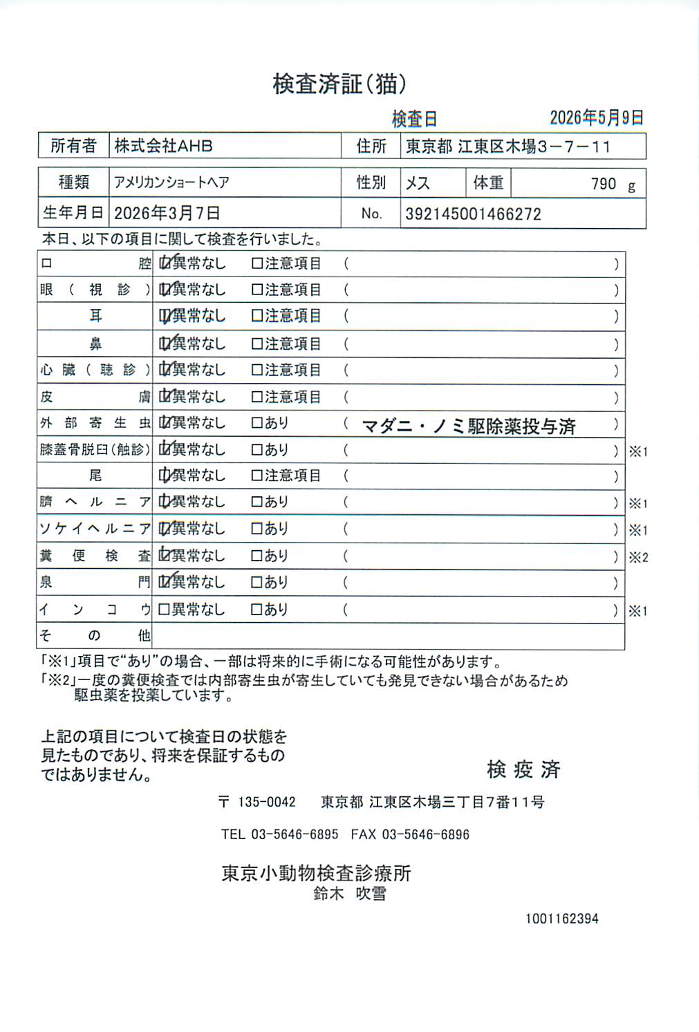 アメリカンショートヘア