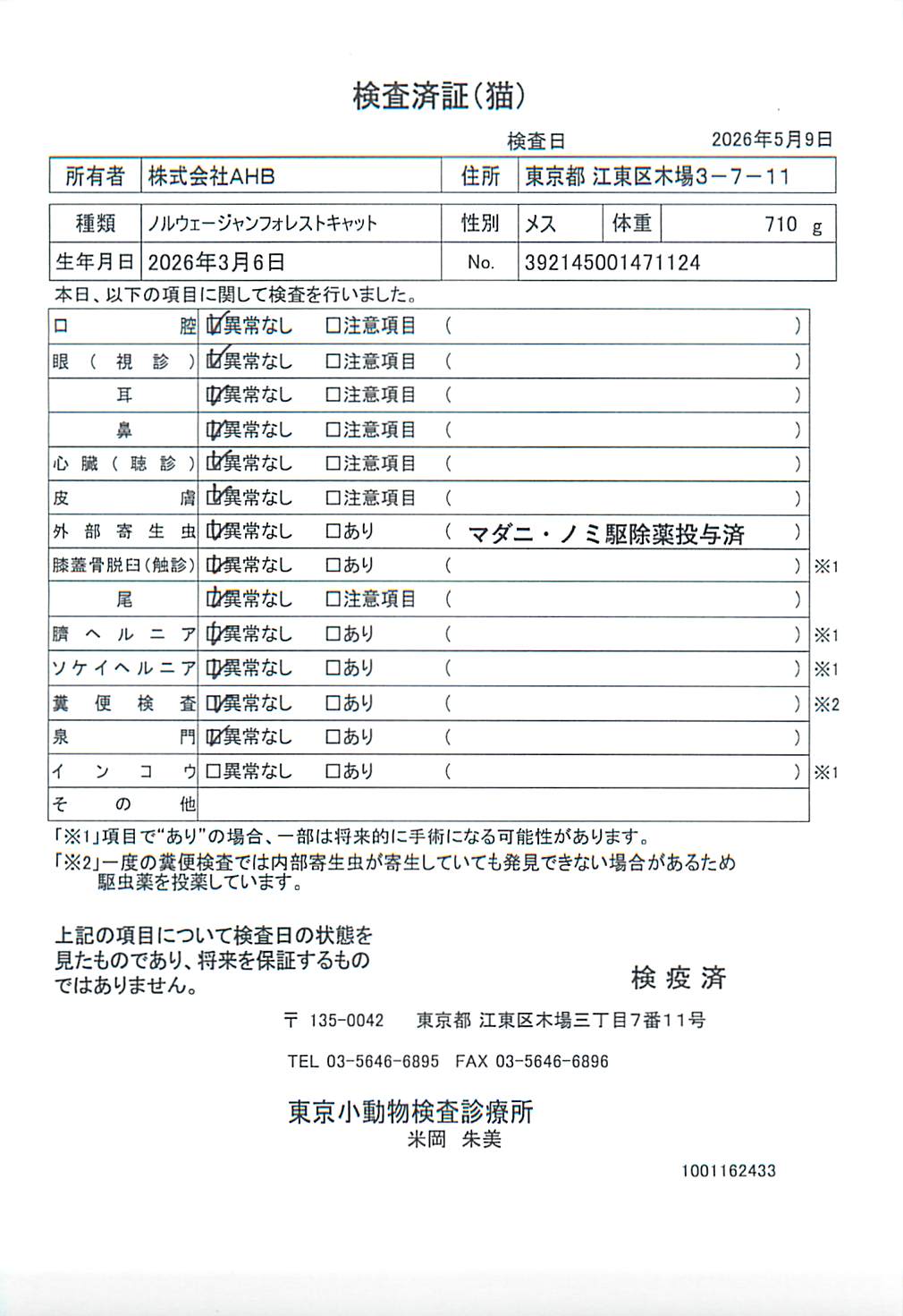 ノルウェージャンフォレストキャット