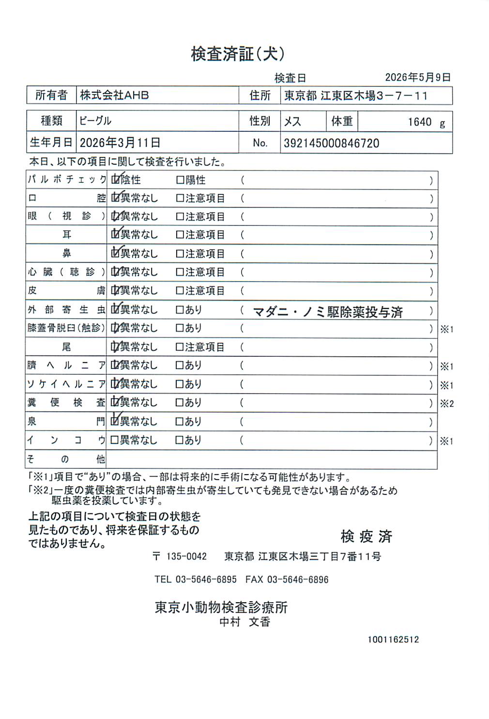 ビーグル