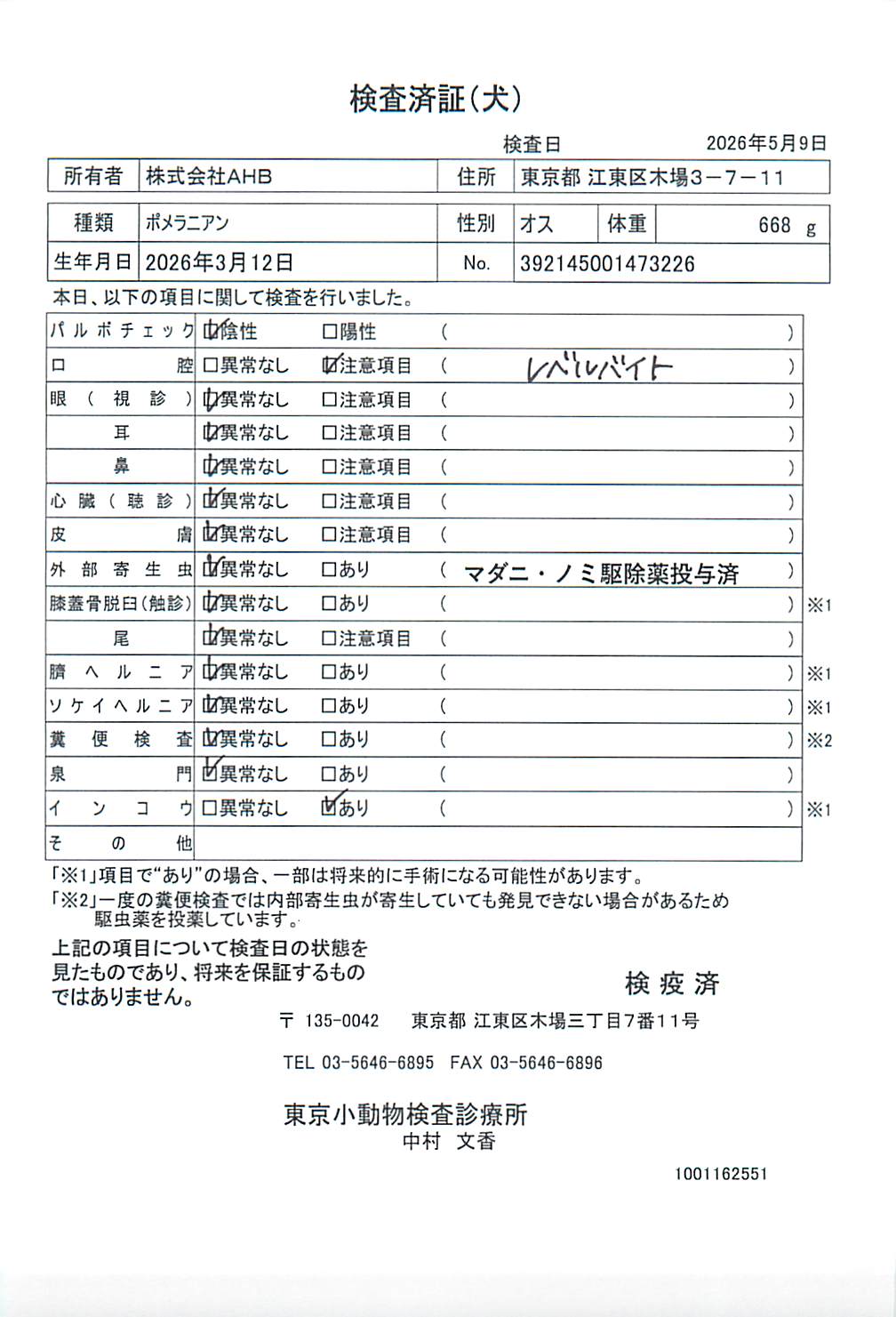 ポメラニアン