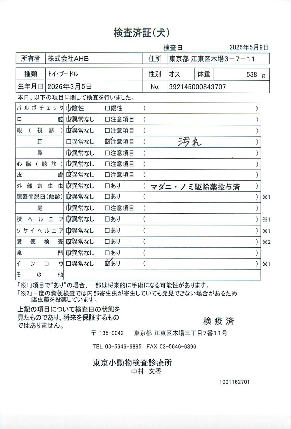 トイ・プードル
