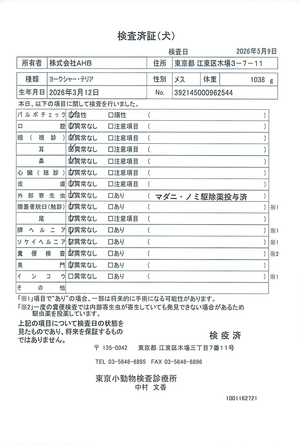 ヨークシャー・テリア