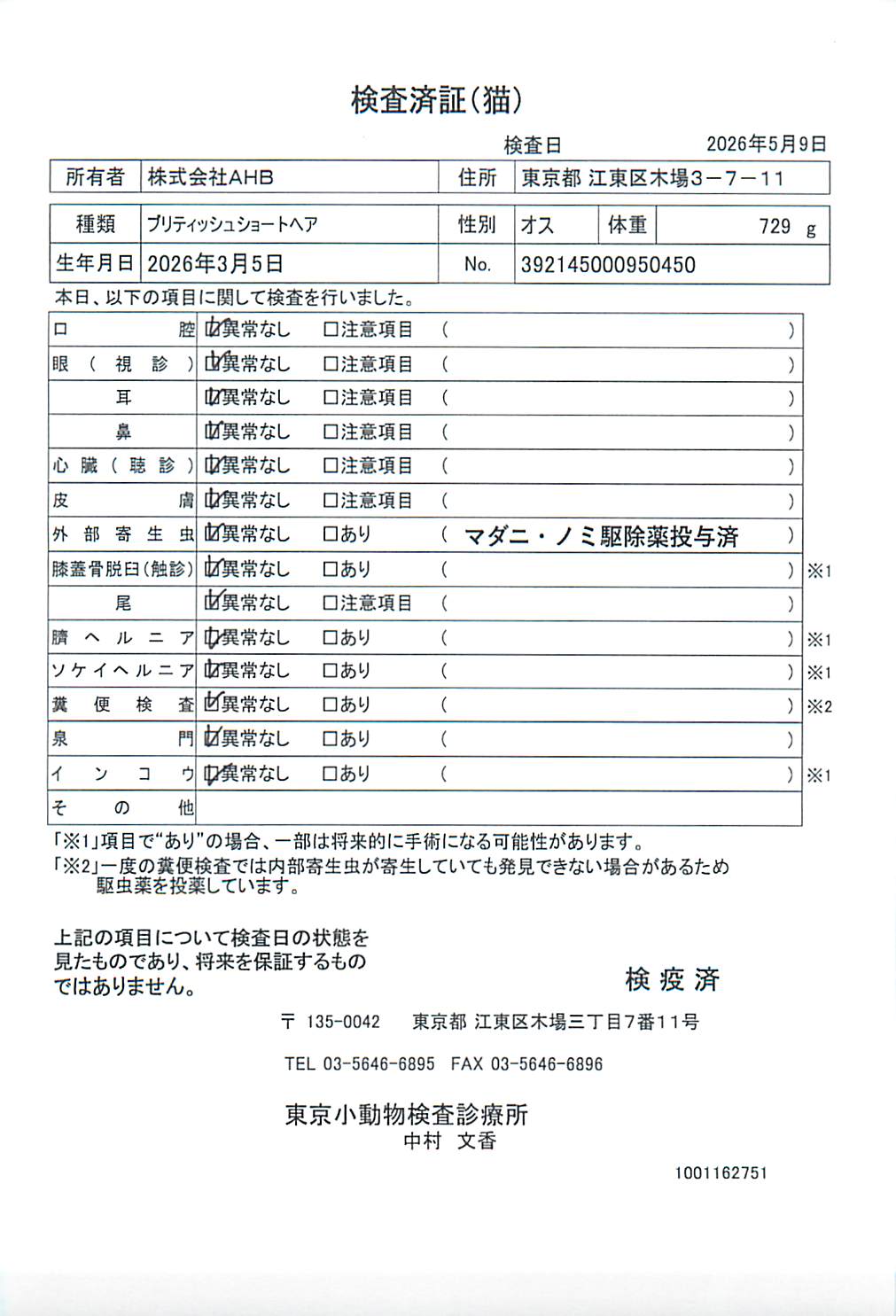 ブリティッシュショートヘア