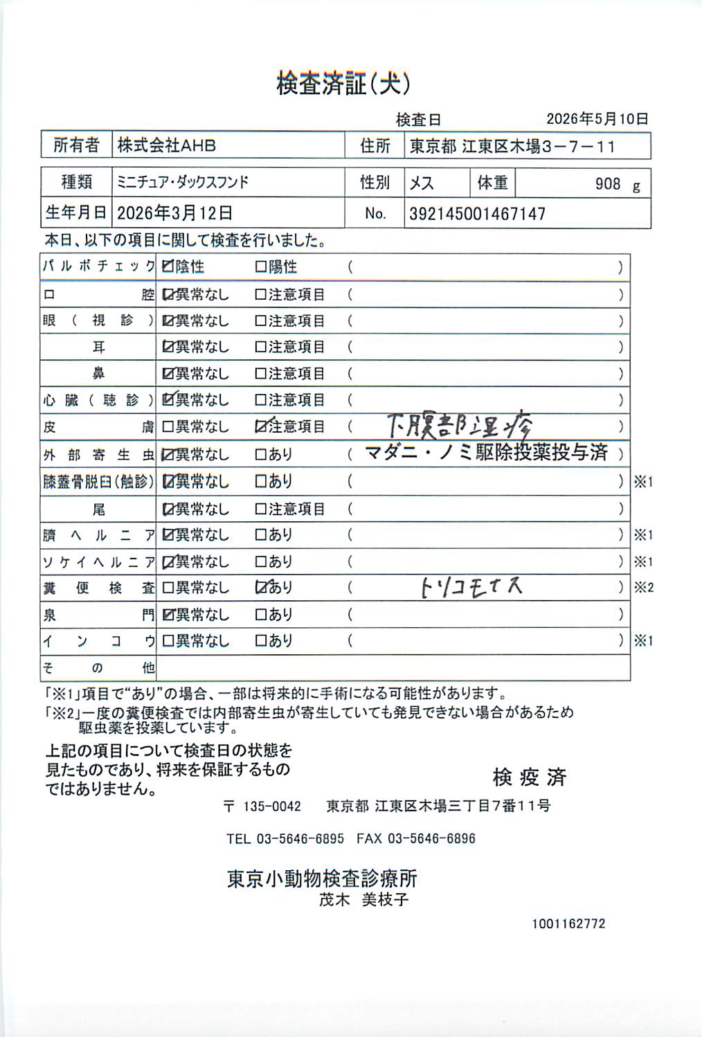ミニチュア・ダックスフンド
