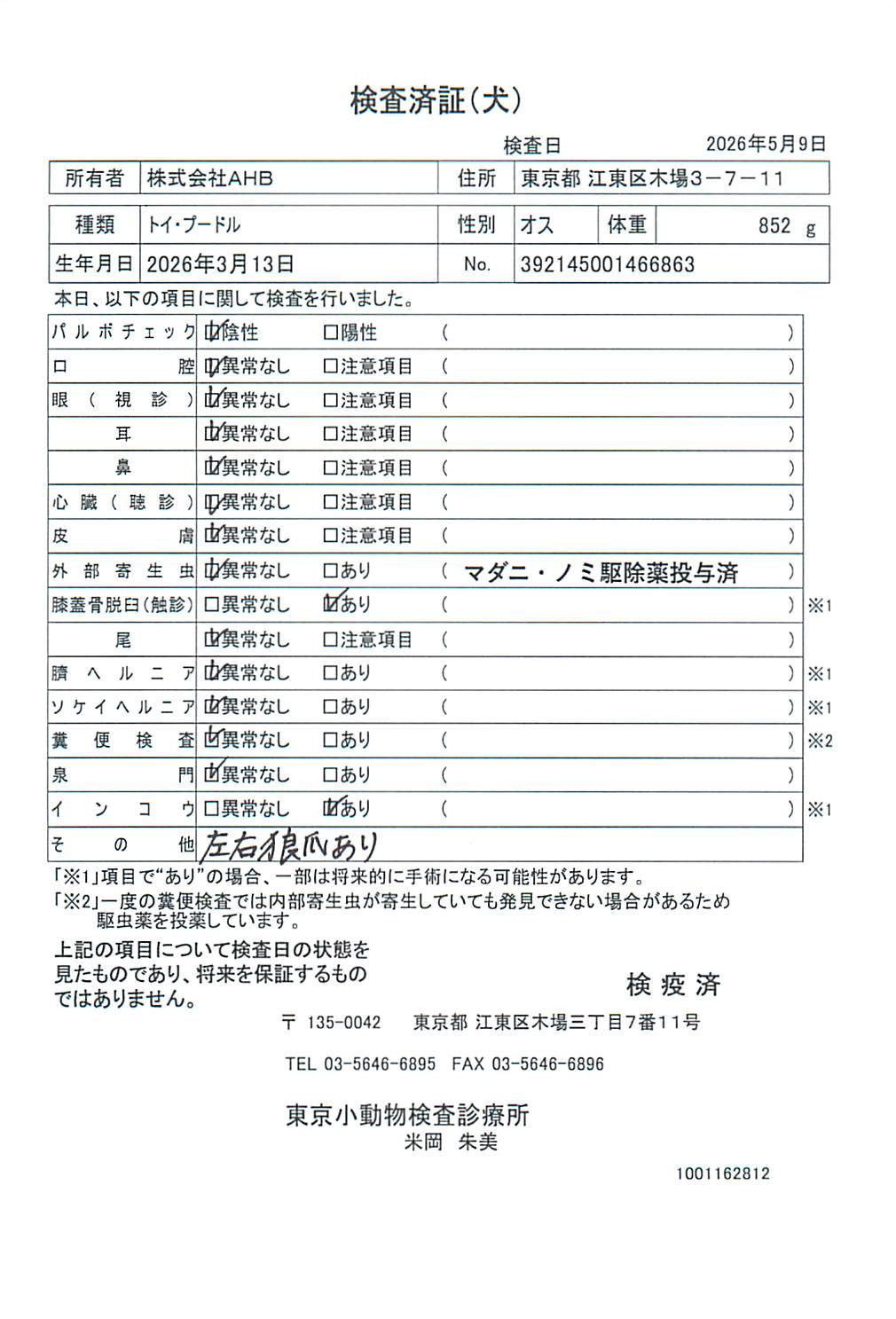 トイ・プードル