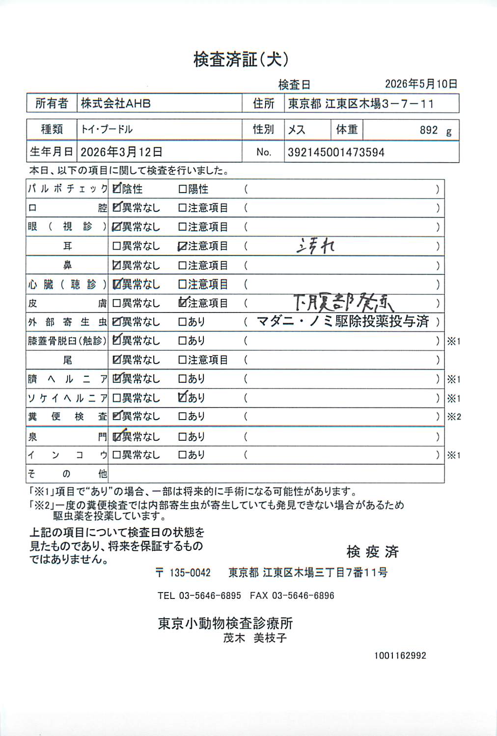 トイ・プードル
