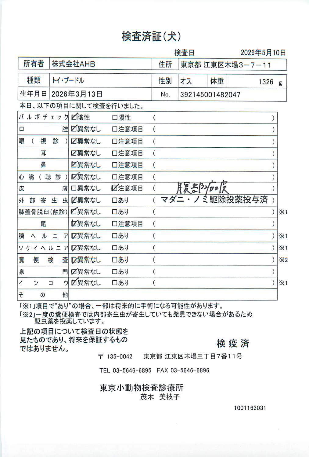 トイ・プードル