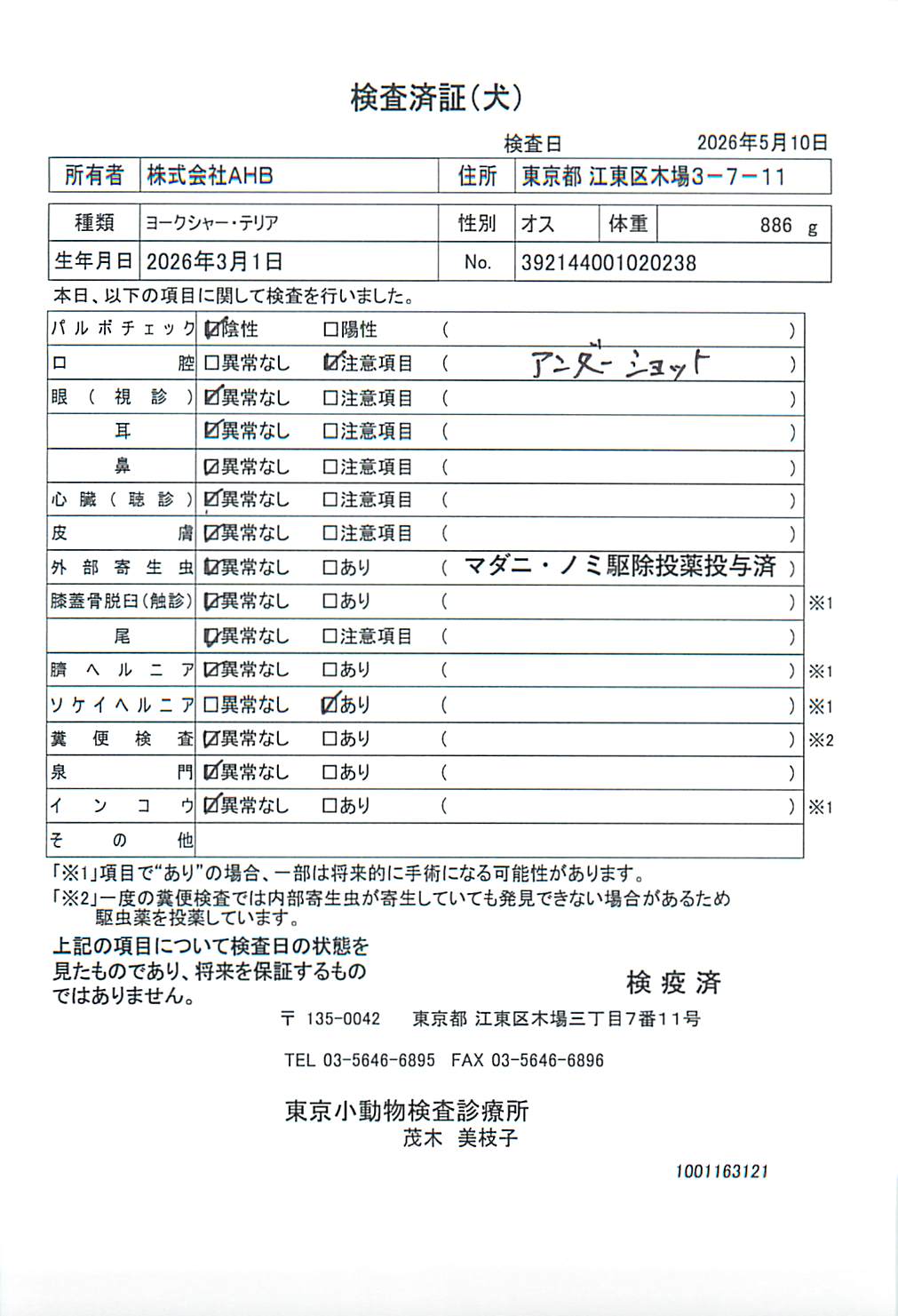 ヨークシャー・テリア