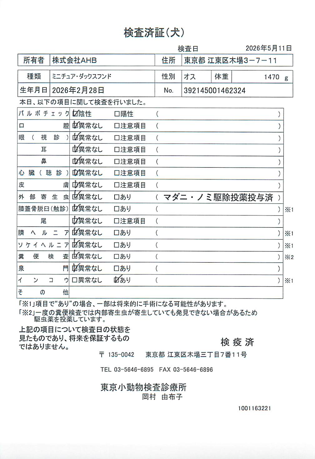ミニチュア・ダックスフンド