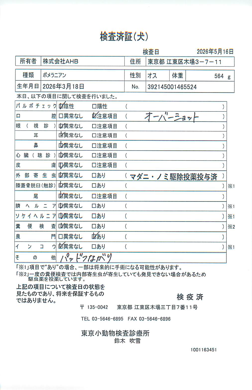 ポメラニアン