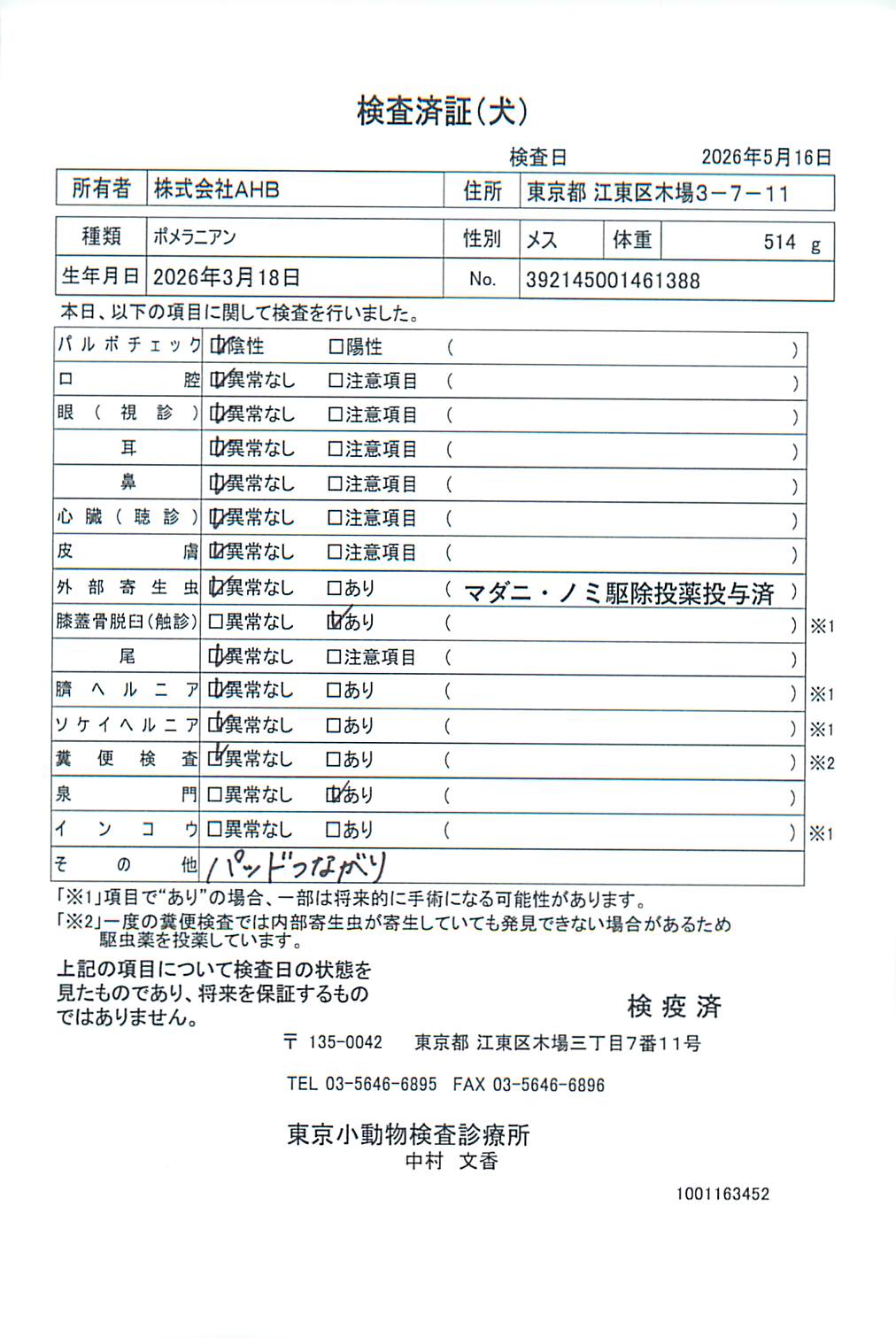 ポメラニアン