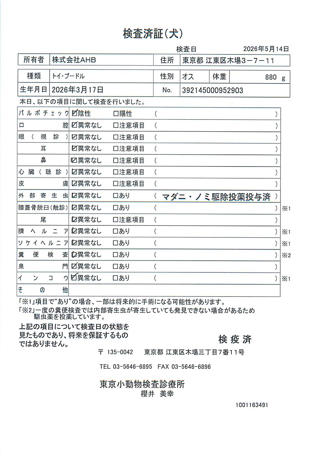 トイ・プードル