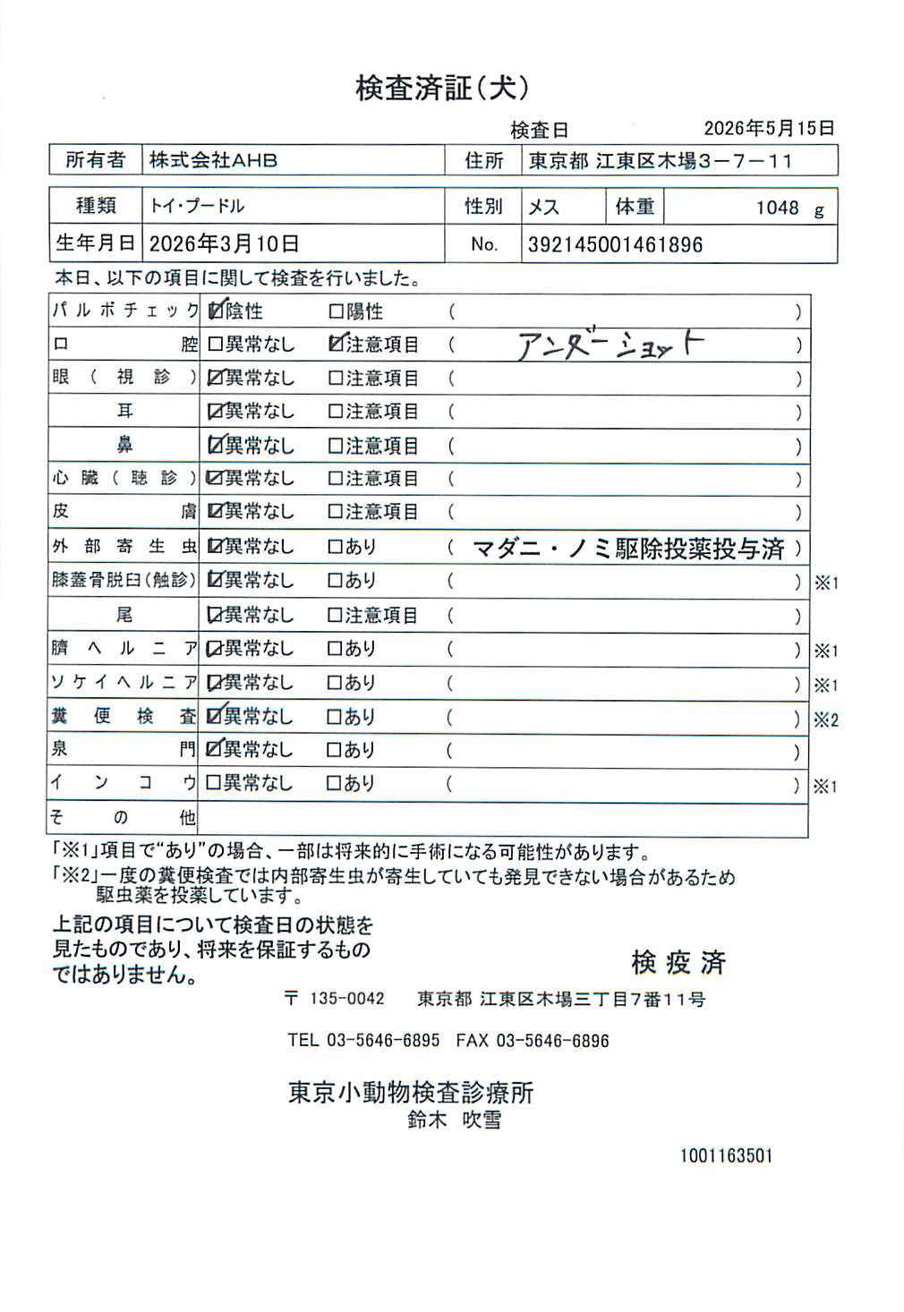 トイ・プードル