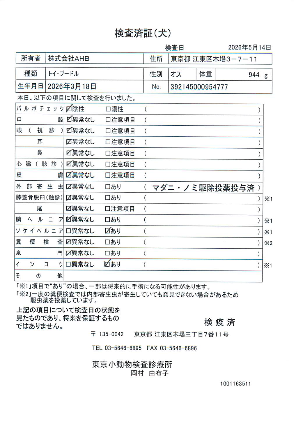 トイ・プードル