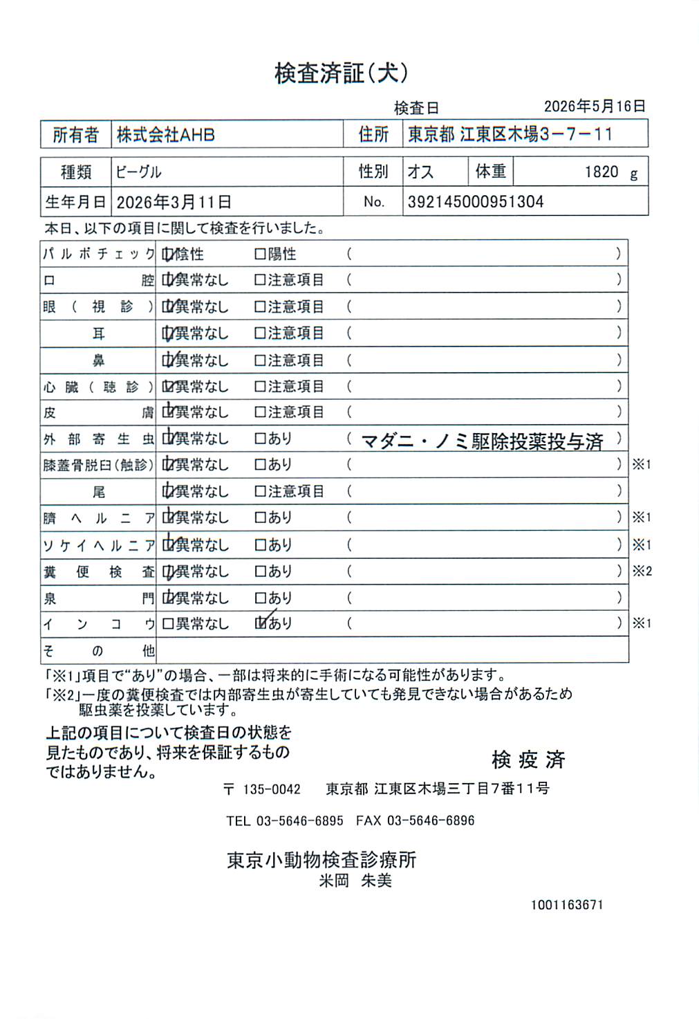 ビーグル