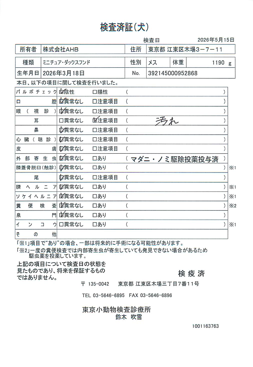 ミニチュア・ダックスフンド