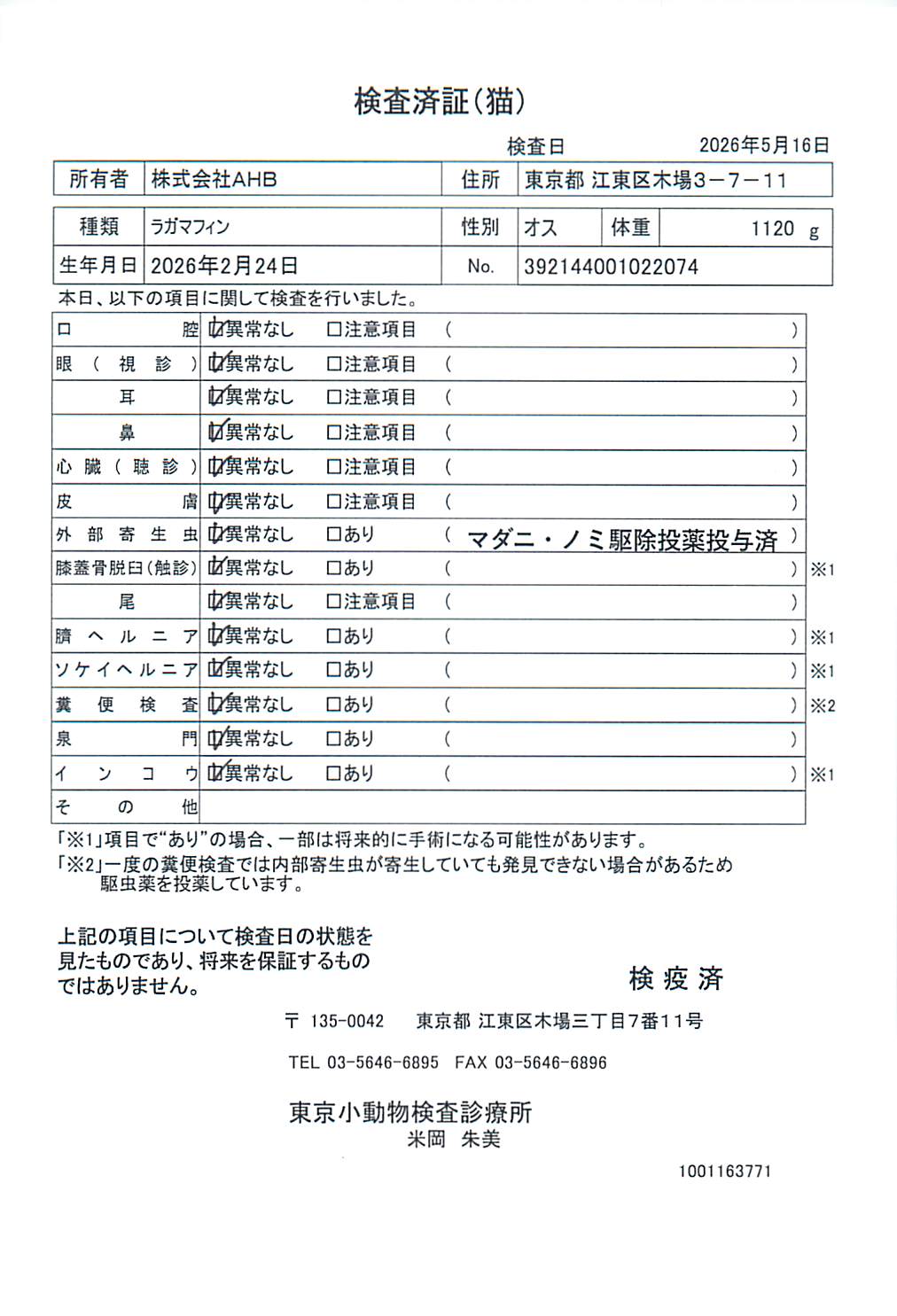 ラガマフィン