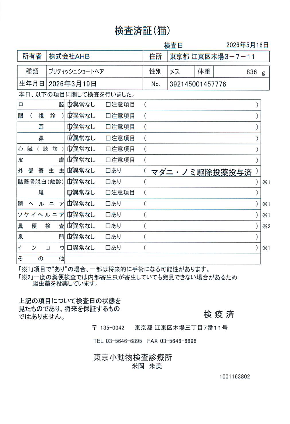 ブリティッシュショートヘア