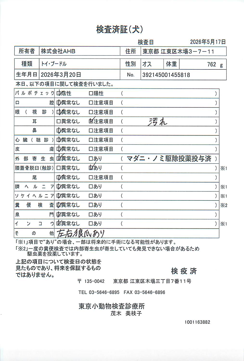 トイ・プードル
