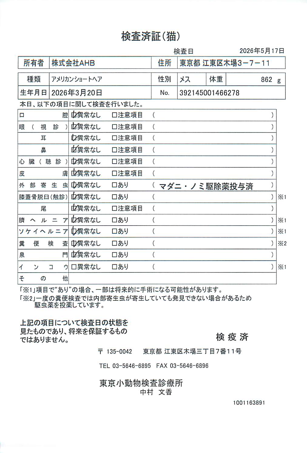アメリカンショートヘア