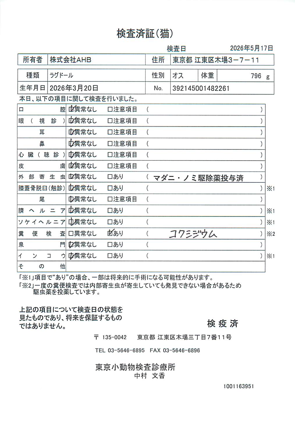 ラグドール