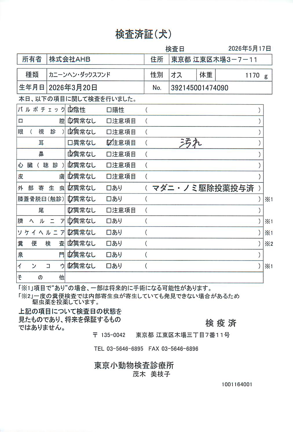 カニーンヘン・ダックスフンド