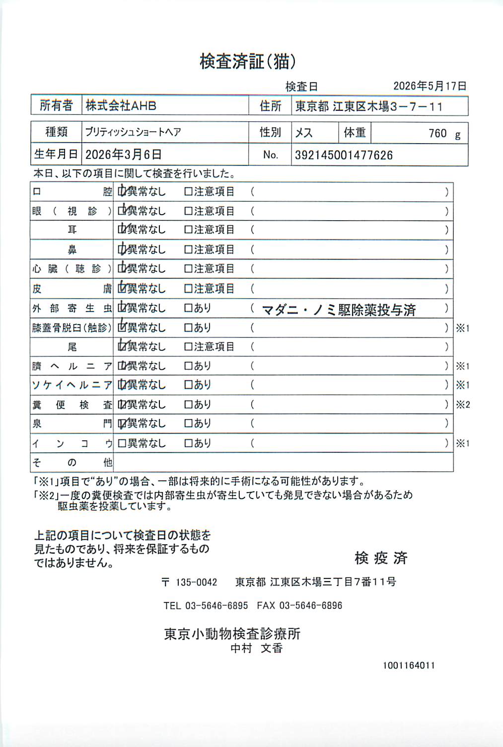 ブリティッシュショートヘア