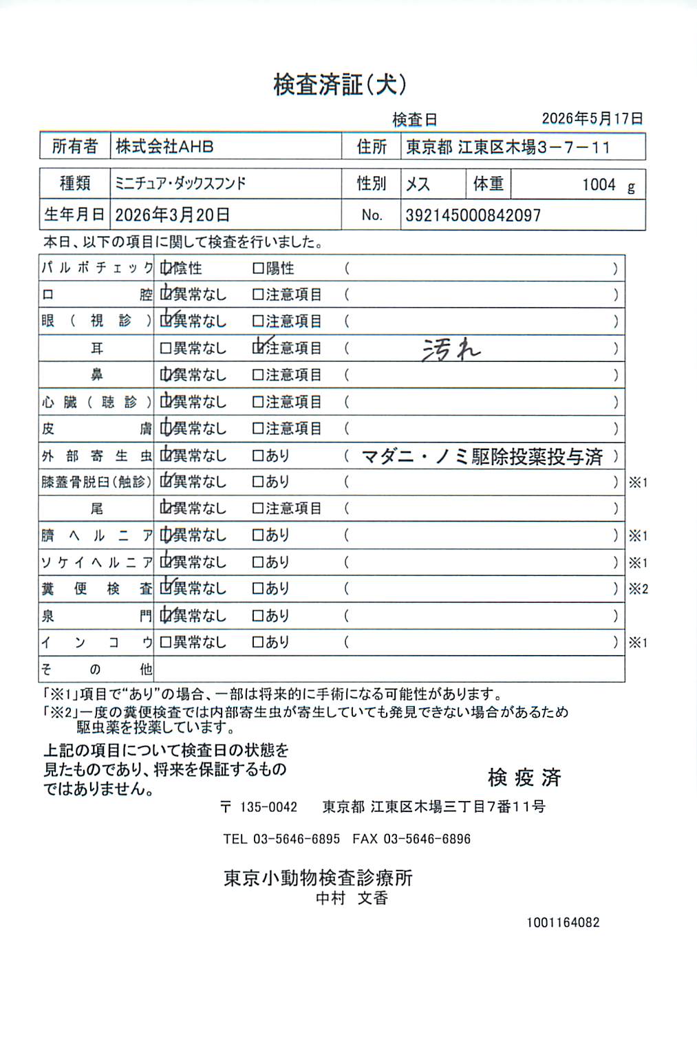 ミニチュア・ダックスフンド