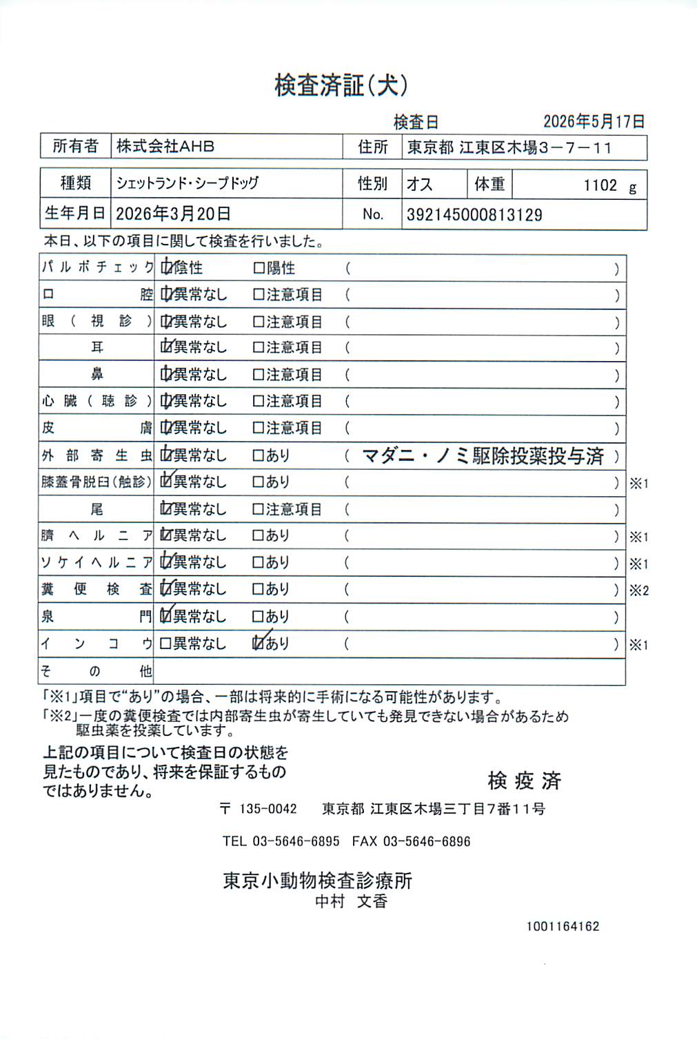シェットランド・シープドッグ