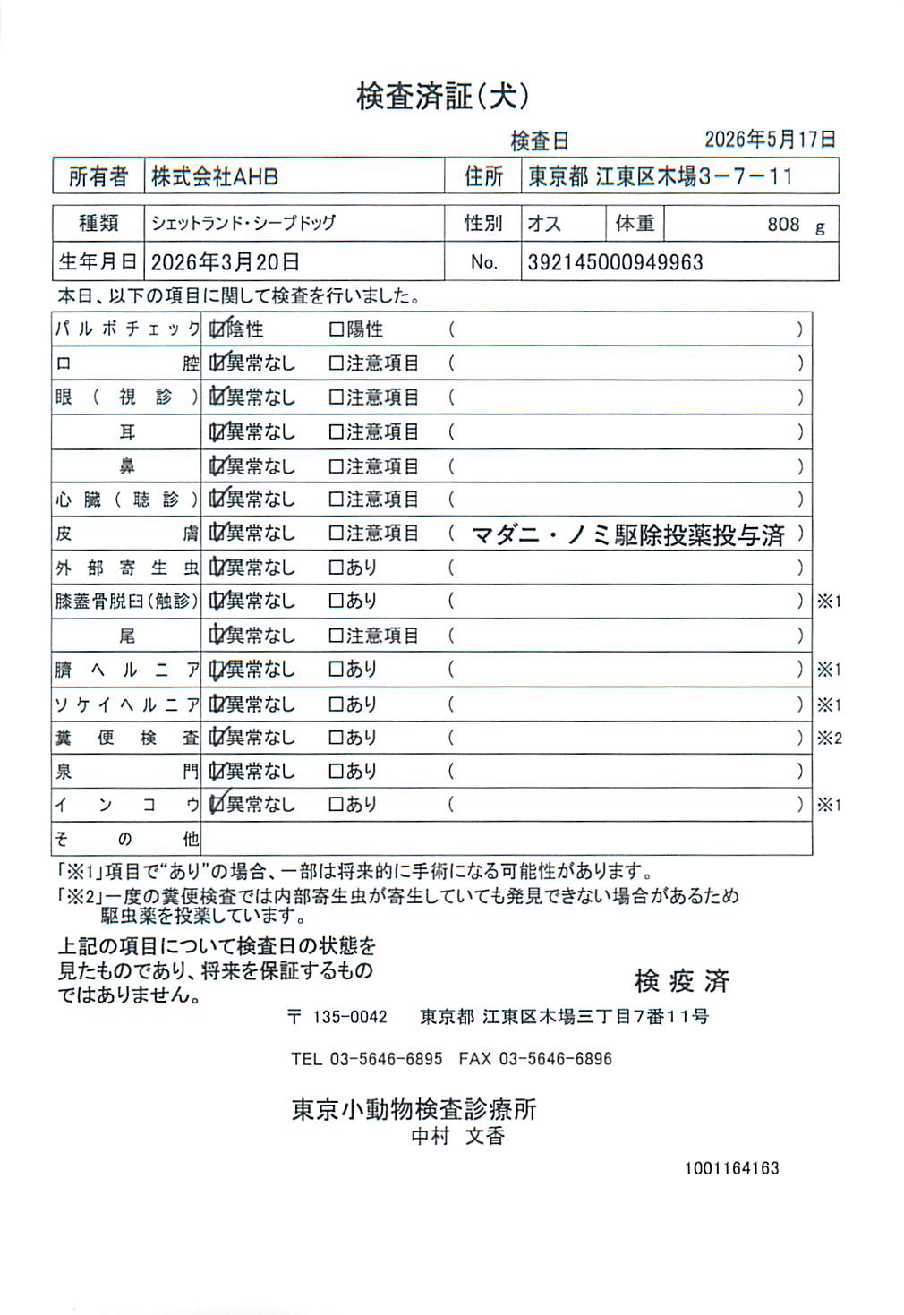 シェットランド・シープドッグ