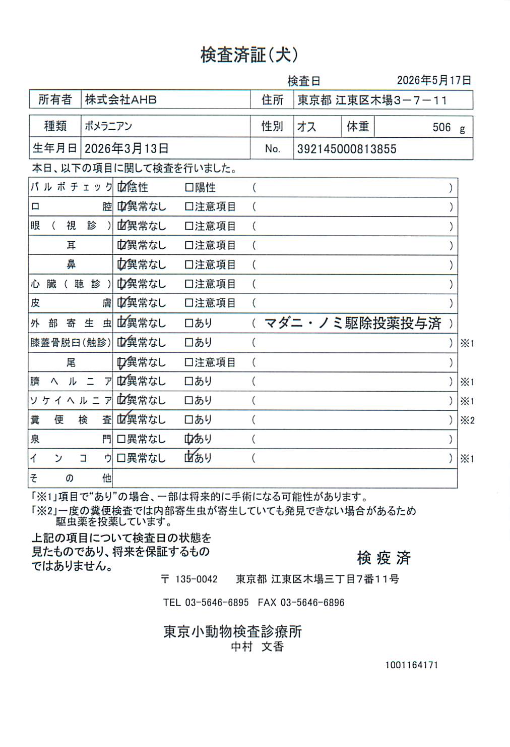 ポメラニアン