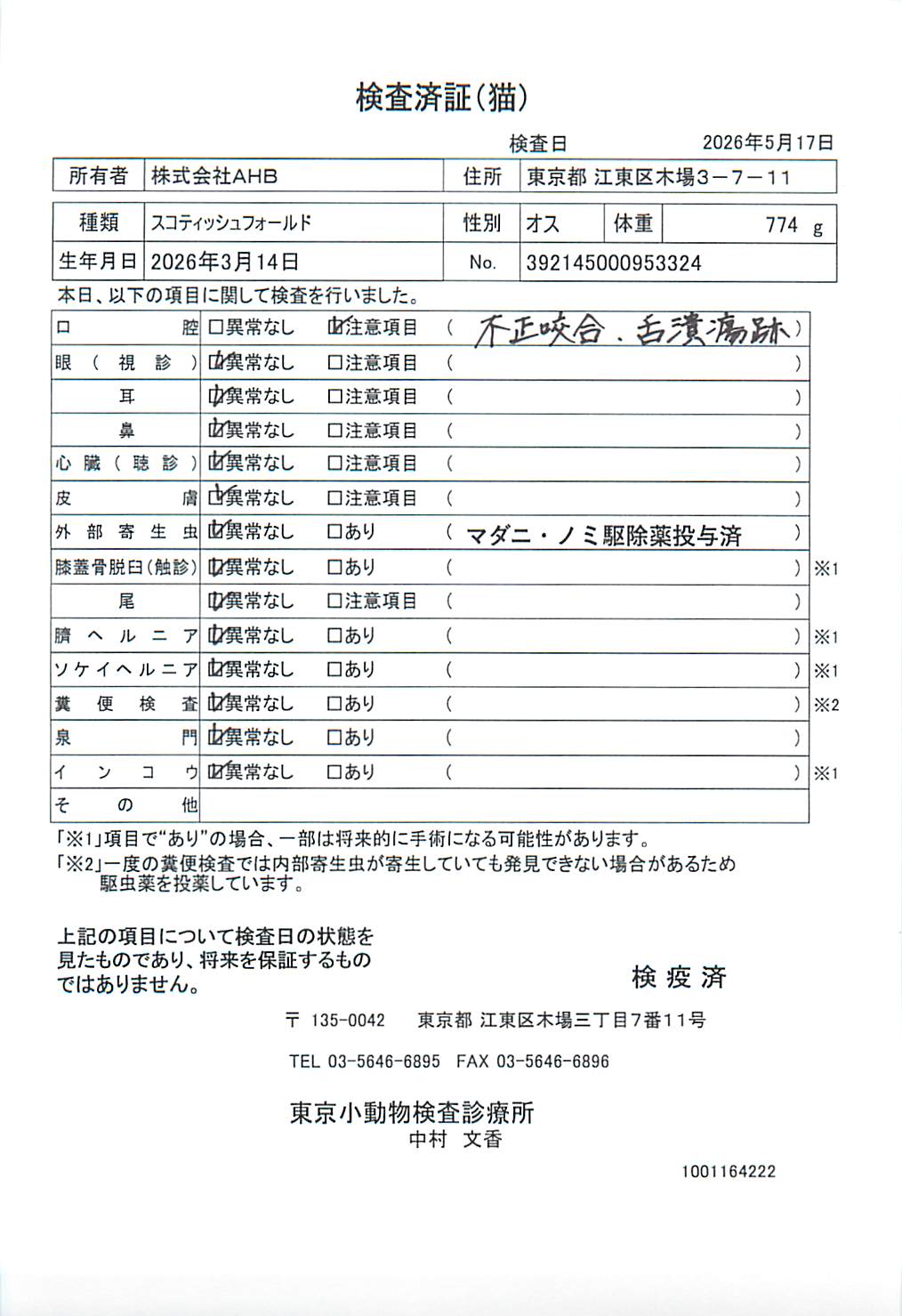 スコティッシュフォールド