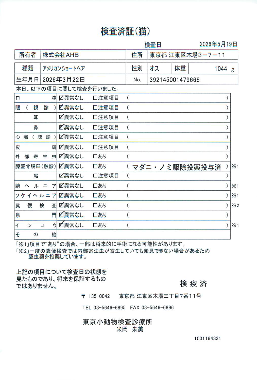 アメリカンショートヘア