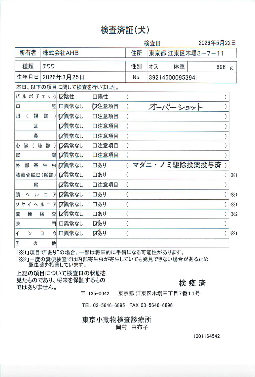 チワワ
