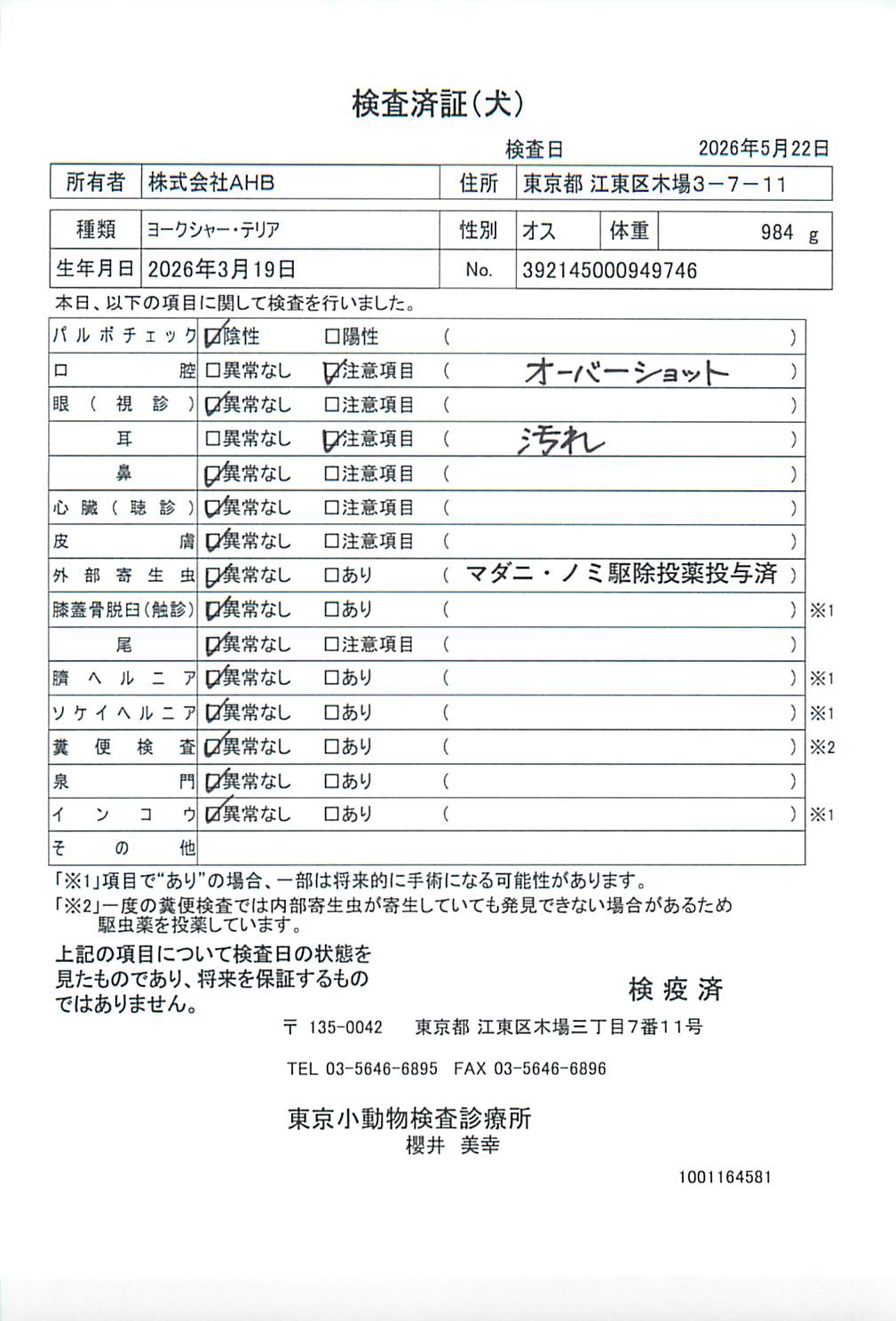 ヨークシャー・テリア