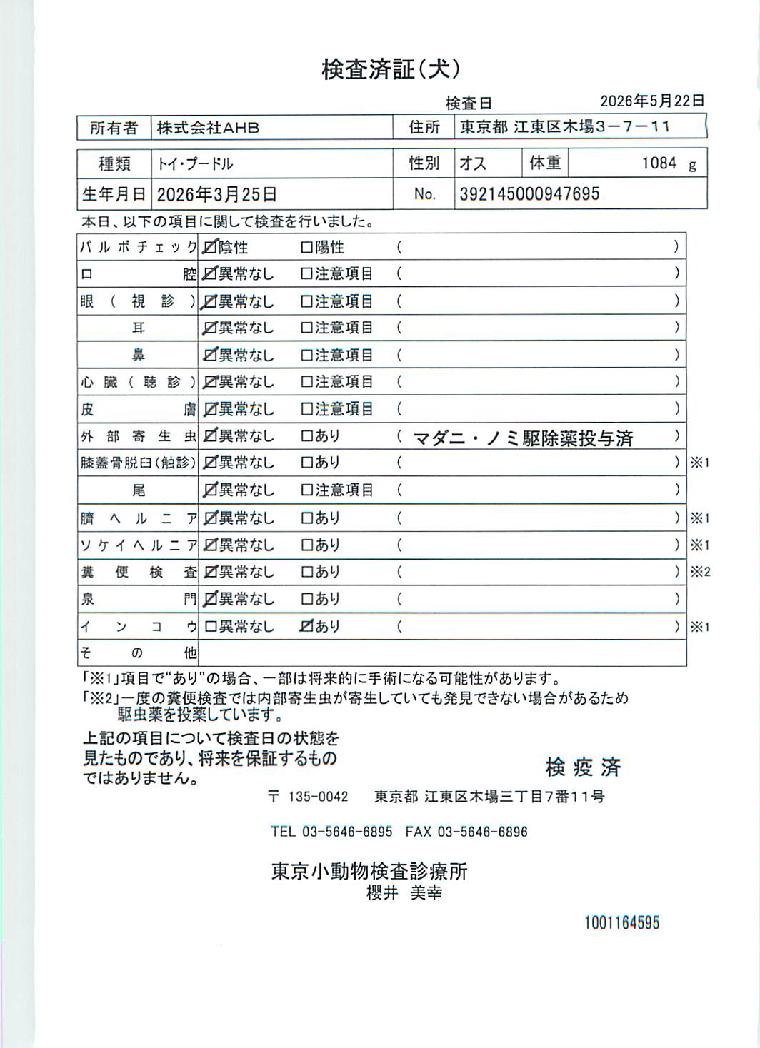 トイ・プードル