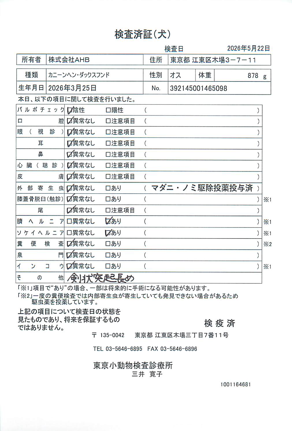 カニーンヘン・ダックスフンド