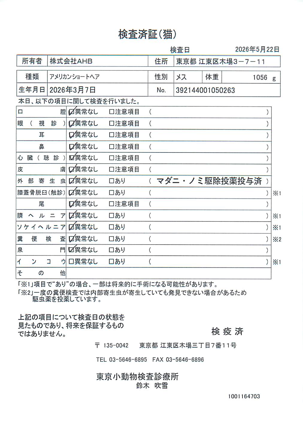 アメリカンショートヘア